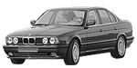 BMW E34 P0022 Fault Code